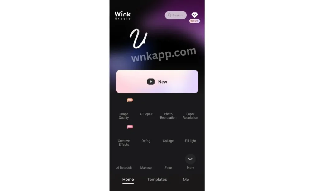 Ease of Use  Interface Wink