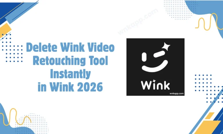 Delete Wink Video Retouching Tool