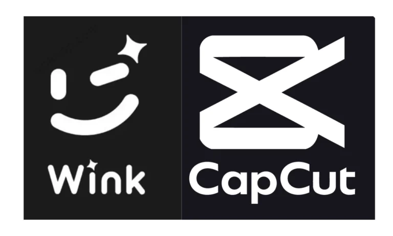 Wink vs CapCut App