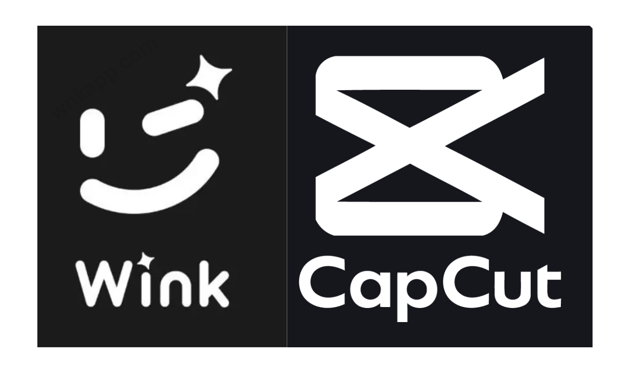 Wink vs CapCut App