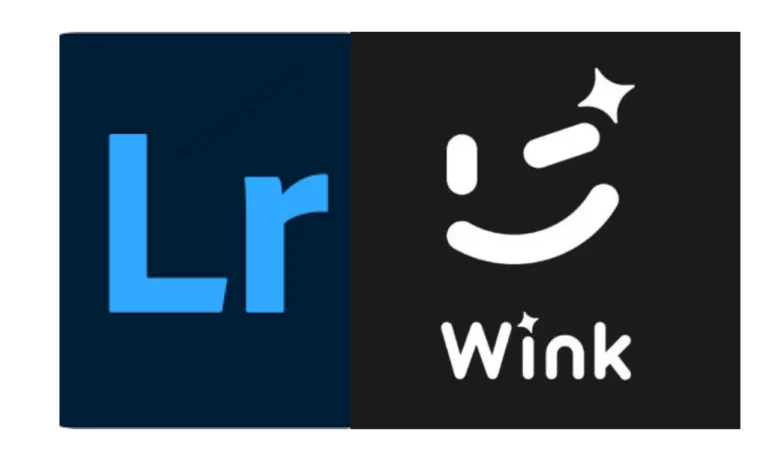 Wink vs Lightroom 2025: Which One Is Best?